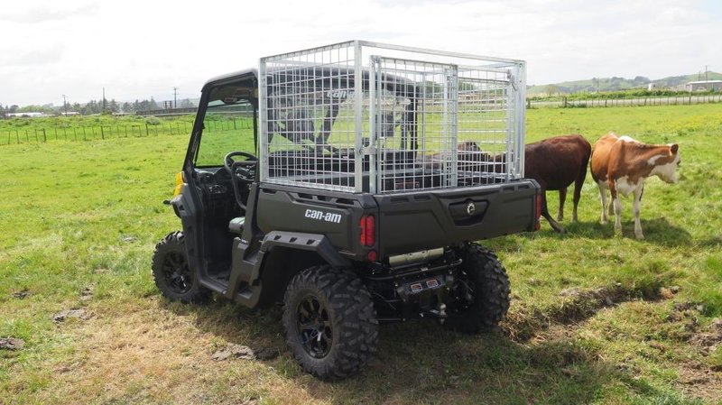 13+ Can Am Defender Dog Box